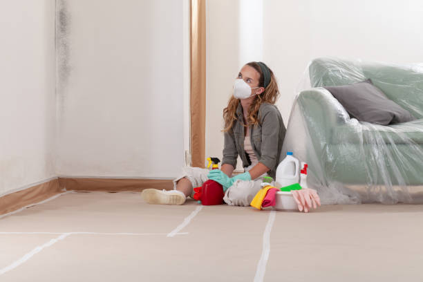 Reliable Mold Remediation contractor in Cypress, TX by 24 Hour Mold Removal